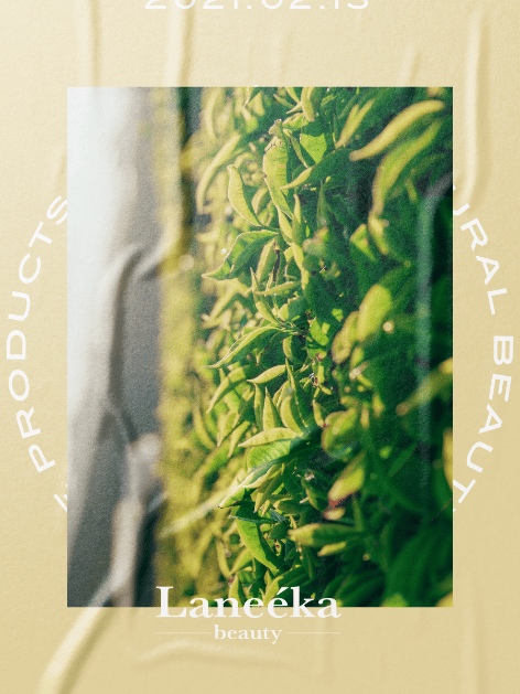 Laneeka beauty branding green poster design